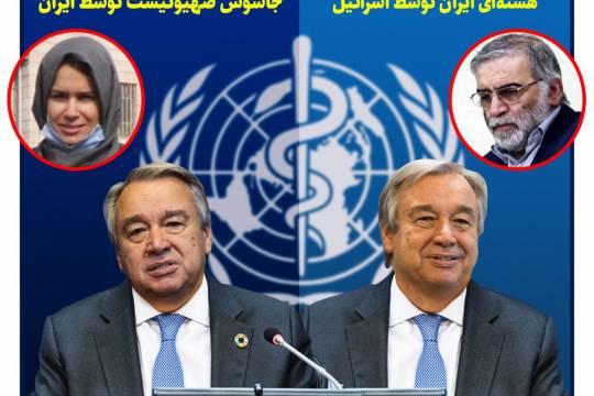 واکنش سازمان ملل به بازداشت جاسوس صهیونیست توسط ایران