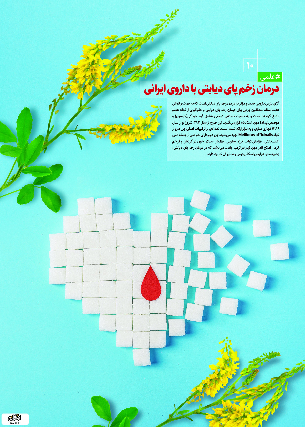پوستر: درمان زخم پای دیابتی با داروی ایرانی