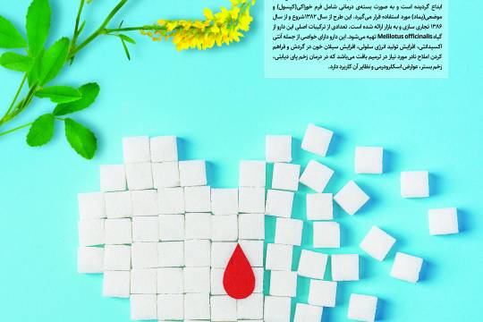پوستر: درمان زخم پای دیابتی با داروی ایرانی