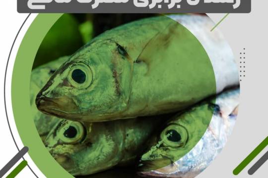 مجموعه پوستر وضعیت امنیت غذایی در ایران پس از انقلاب اسلامی