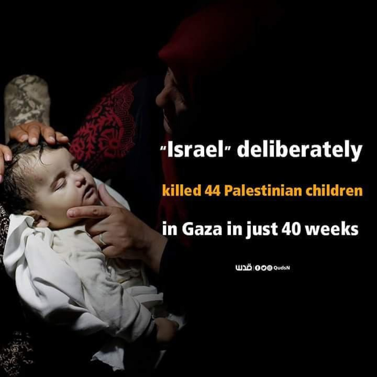 israel delibertely killed 44 Palestinian in Gaza in just 40 weeks