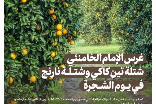 غرس الإمام الخامنئي شتلة تين كاكي وشتلة نارنج في يوم الشجرة