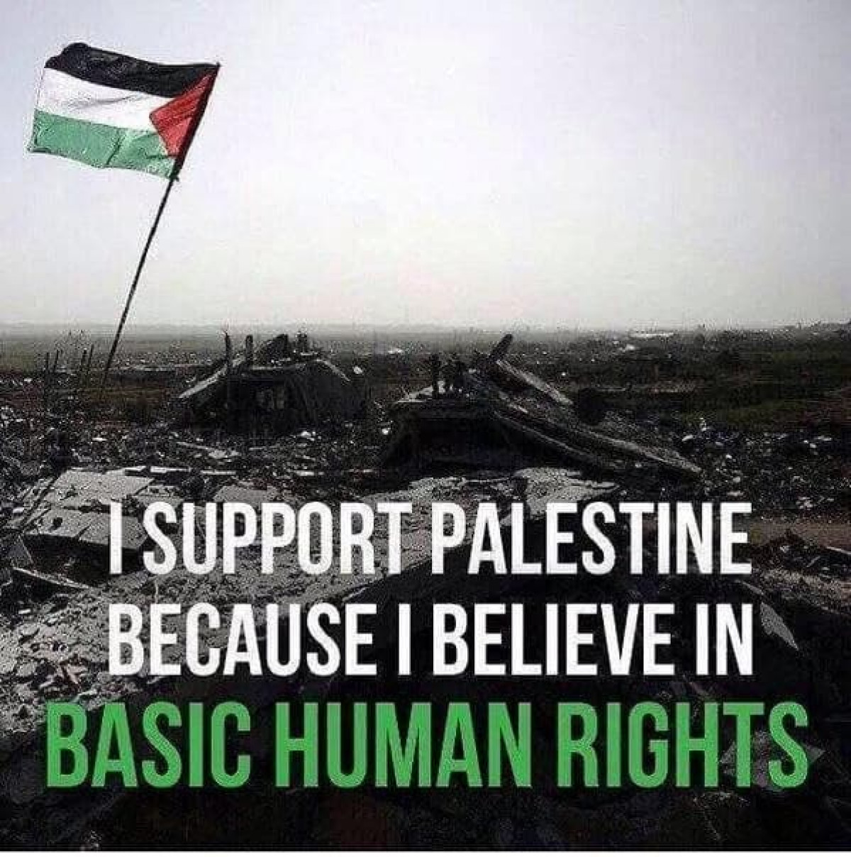 I support Palestine because I believe in Basic Human Rights