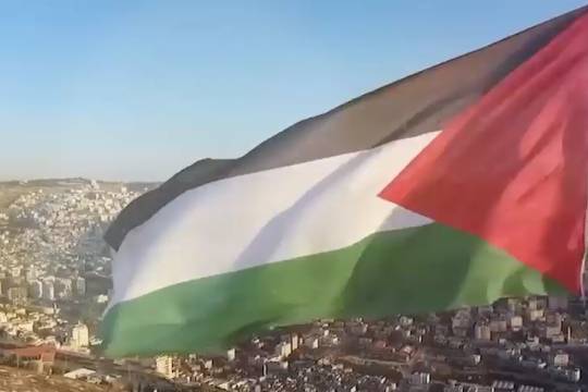 فيديو كليب / سنحرر فلسطين