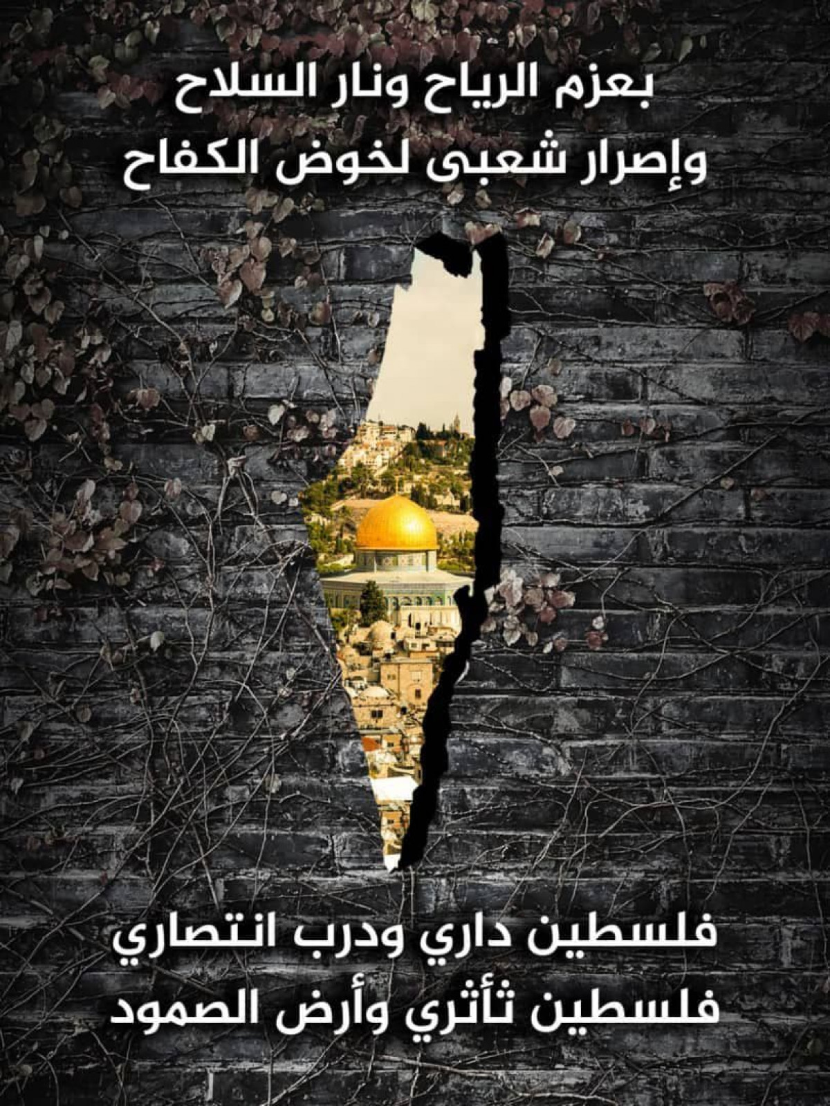فلسطين أرض الصمود