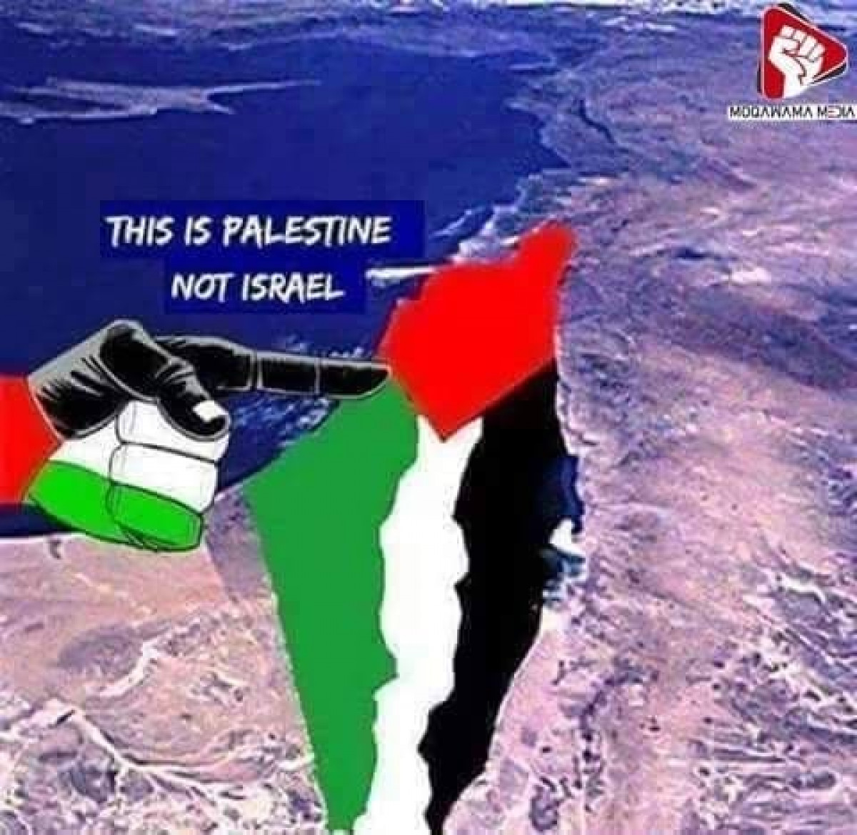 This is Palestine, Not Israel