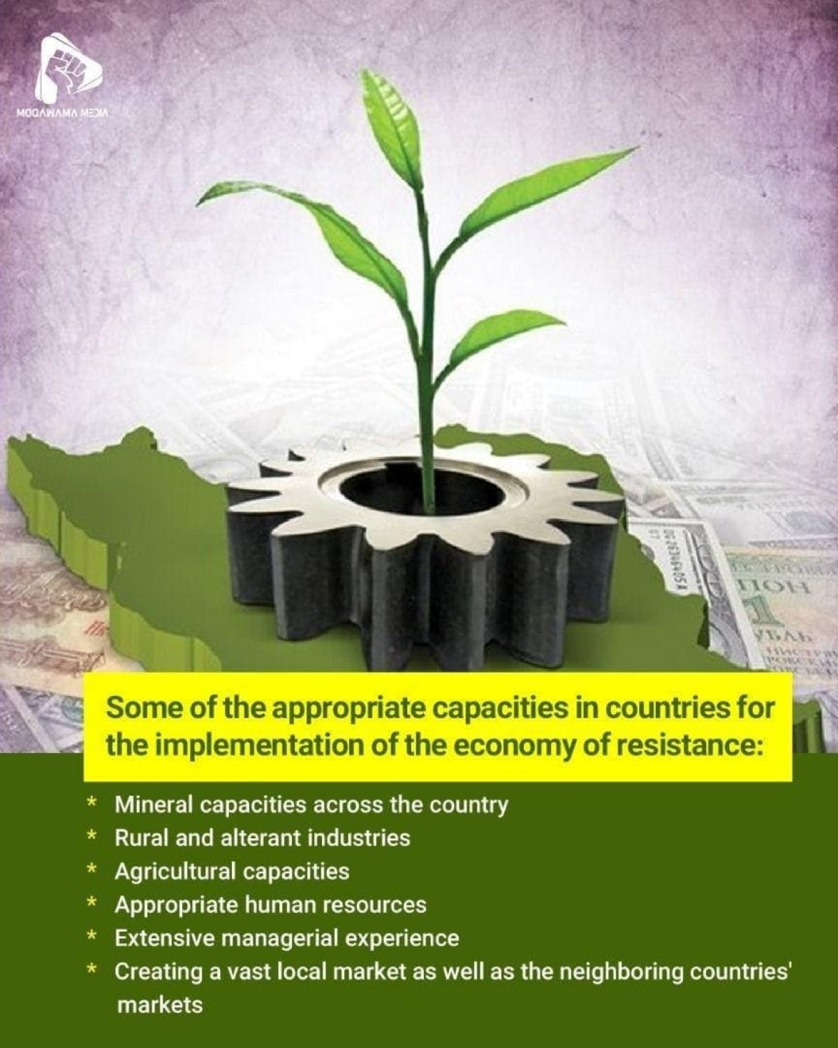 Some of the appropriate capacities in countries for the implementation of the economy of resistance
