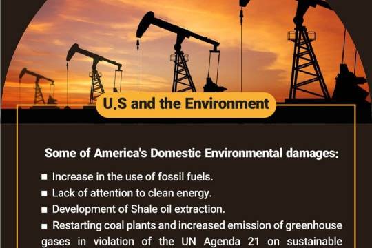 Some of America's Domestic Environmental damages