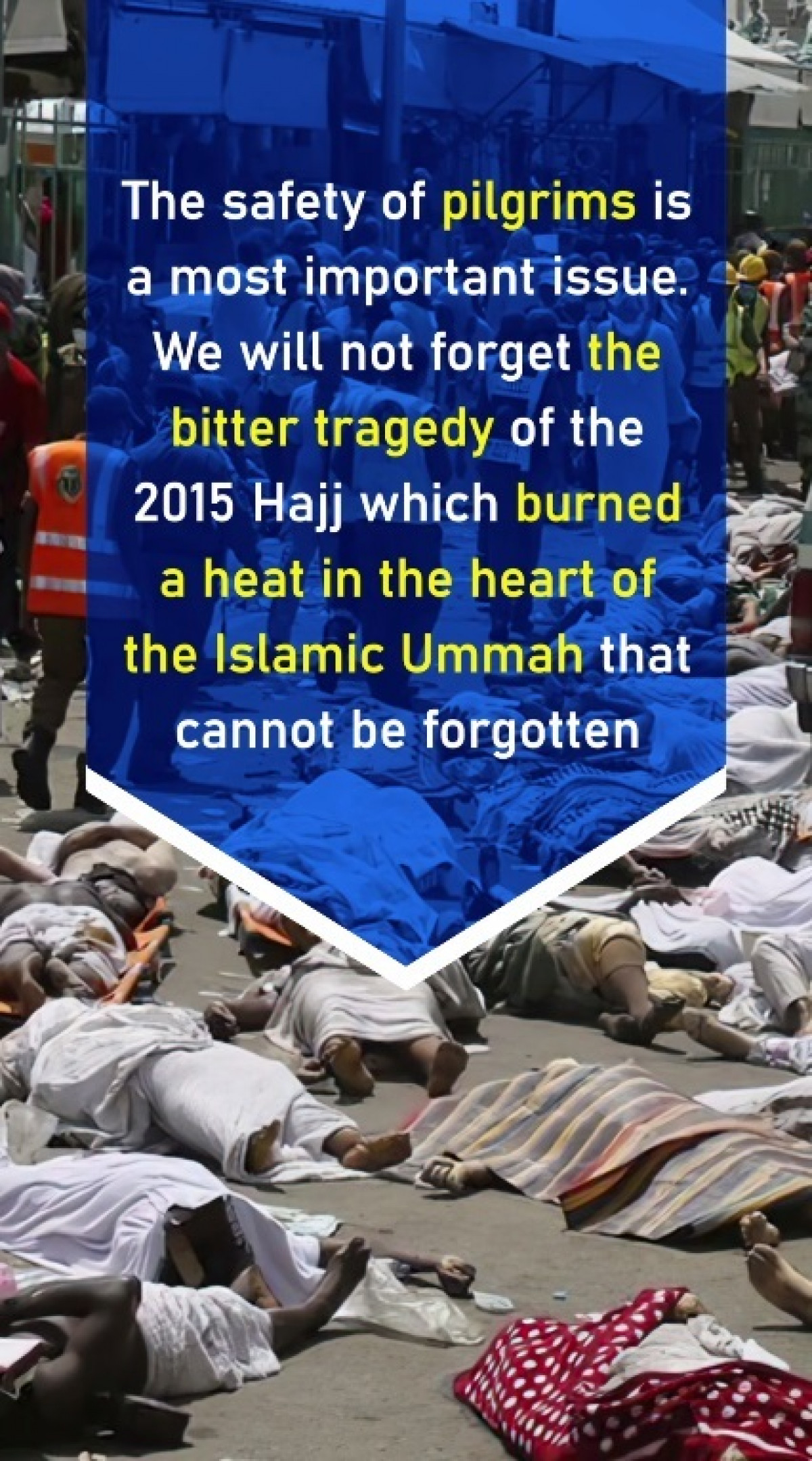 We will not forget the bitter tragedy of the 2015 Hajj