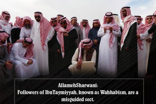 AllamehSharwani: Followers of Ibn Taymiyyah, known as Wahhabism, are a misguided sect