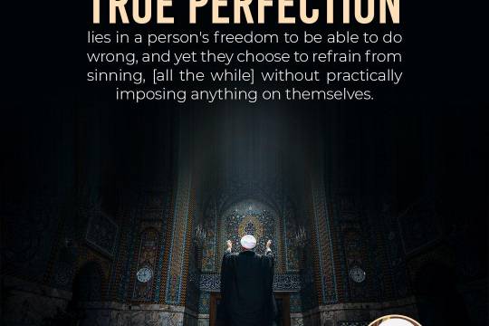 True perfection lies in a person's freedom to be able to do wrong