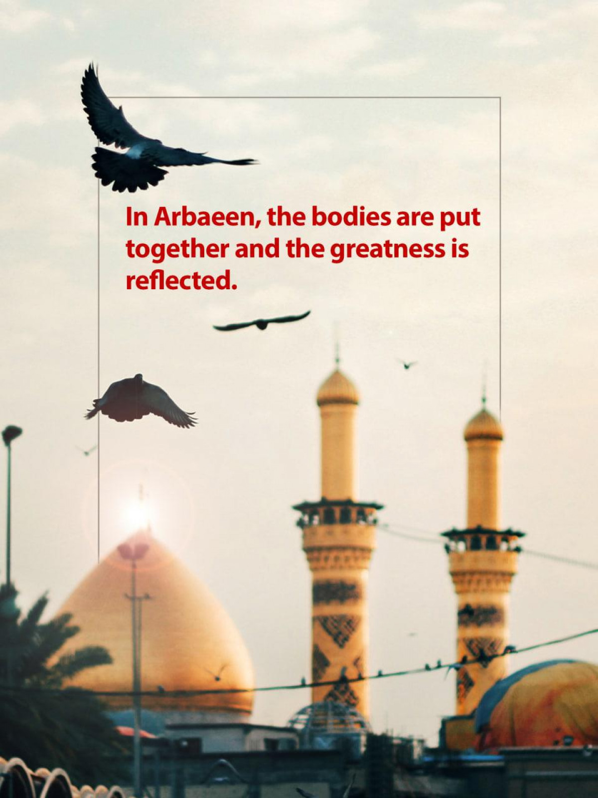 In Arbaeen, the bodies are put together and the greatness is reflected