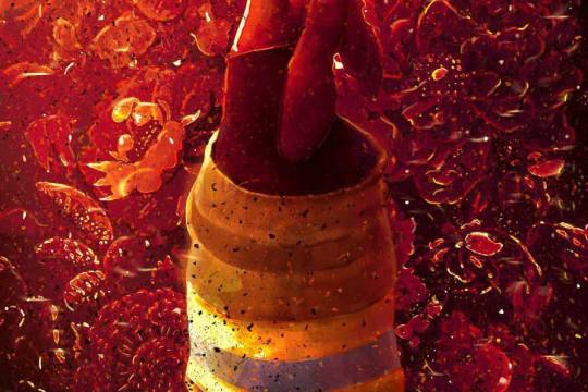 عشق آتش را گلستان می‌کند