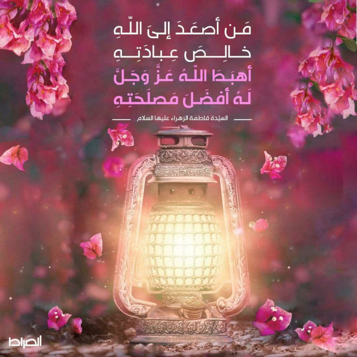 مَن أصعَدَ إلىَ اللهِ خالِصَ عِبادَتِهِ