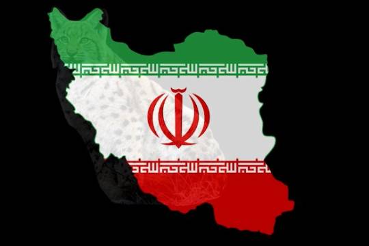 فيديو كليب / أصدق تشبيه لما يجري مع إيران