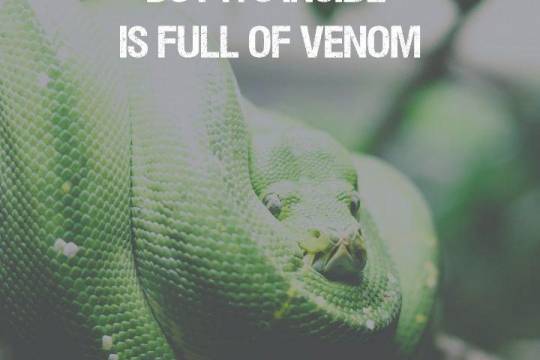 Imam Ali :The example of the world is like a serpent it is soft in touch but its inside is full of venom