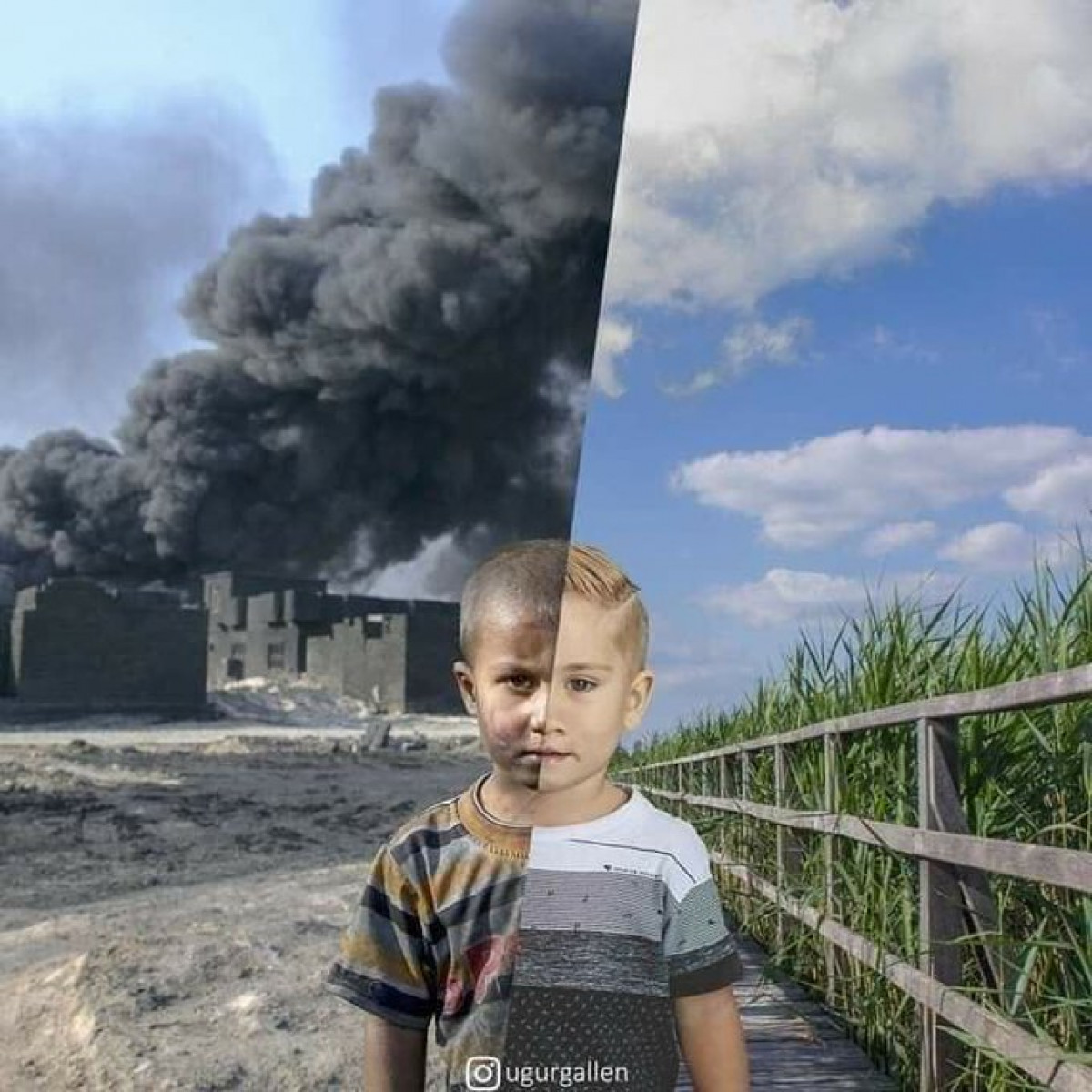 باید حتما خانه کودکی در یمن و افغانستان ویران شود