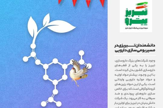 مجموعه پوستر :  سهم تبریز در پیشرفت انقلاب اسلامی‌ سری سوم