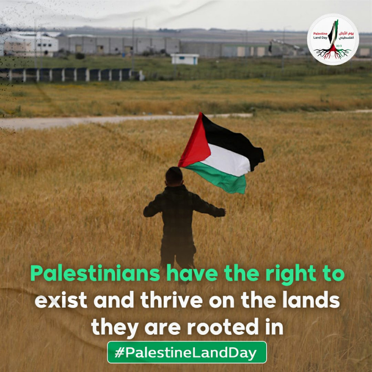 Palestinians are deeply rooted in their land