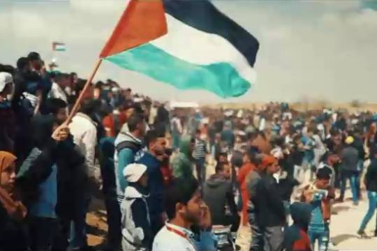 فيديو كليب / يا أبناء فلسطين