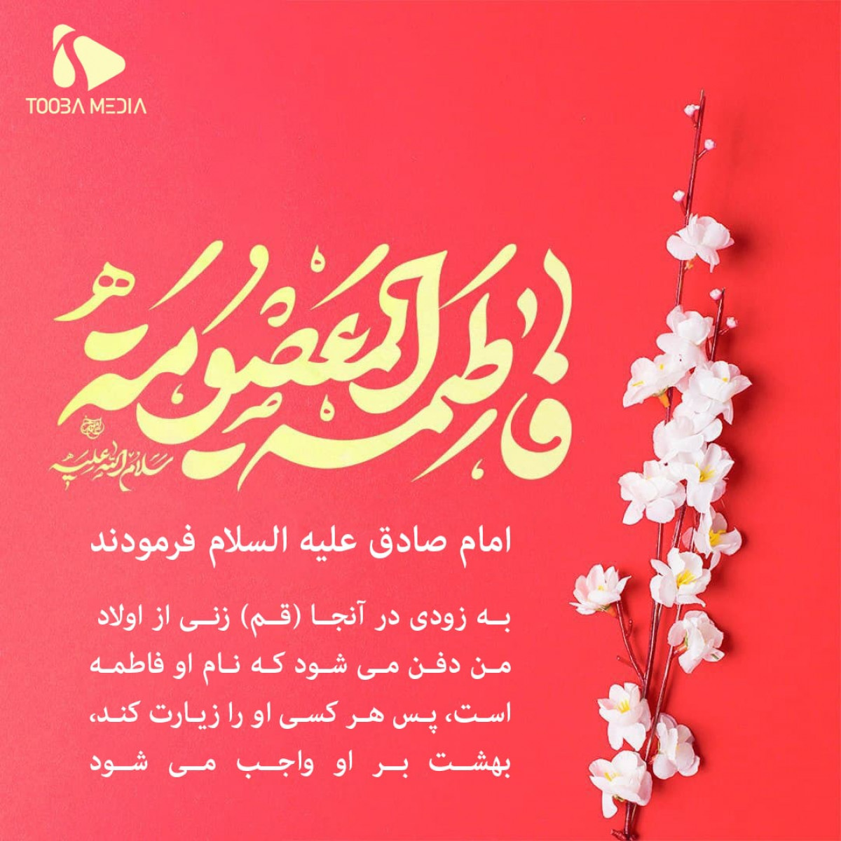 به زودی در آنجا (قم) زنی از اولاد من دفن می شود