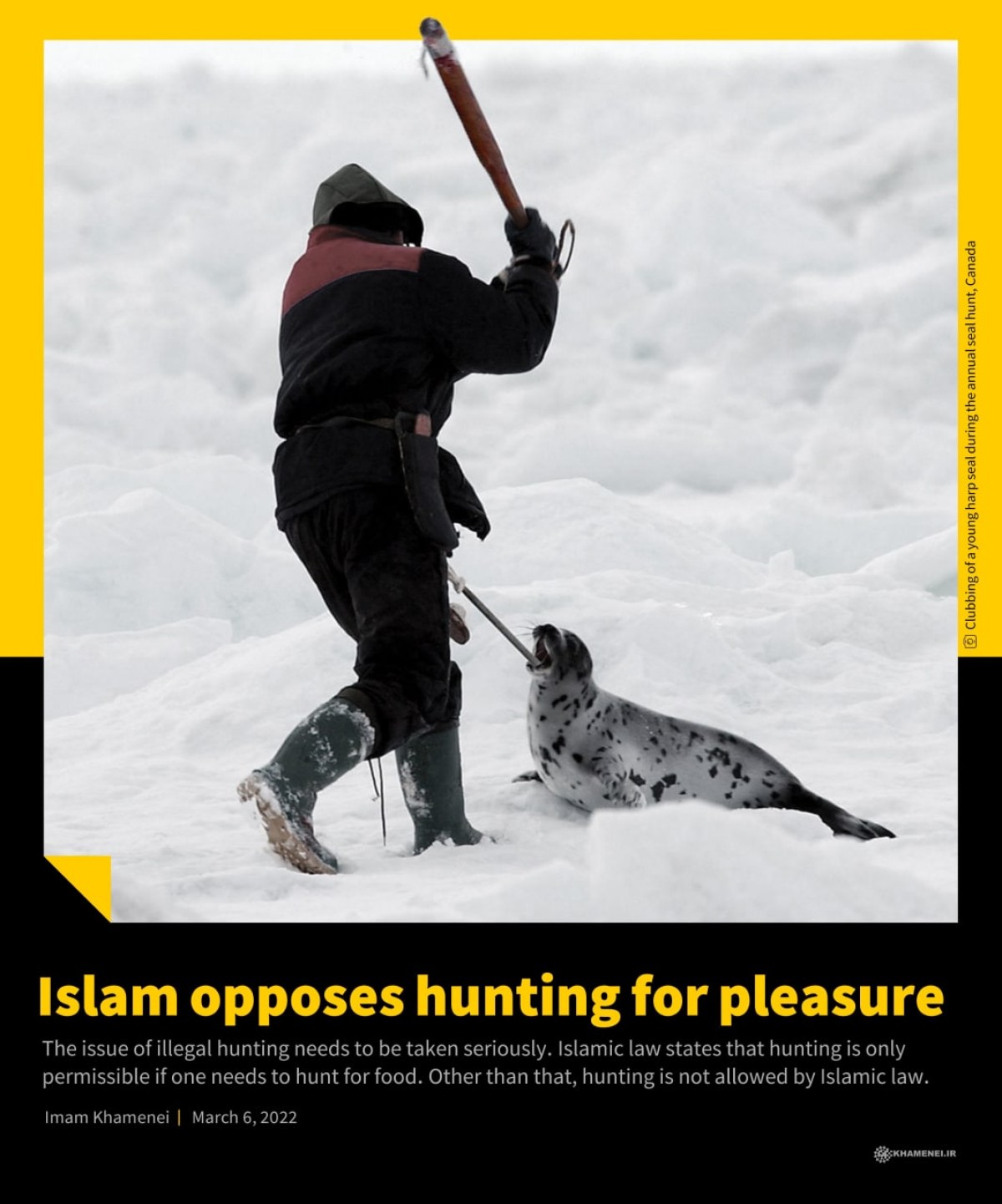 Islam opposes hunting for pleasure