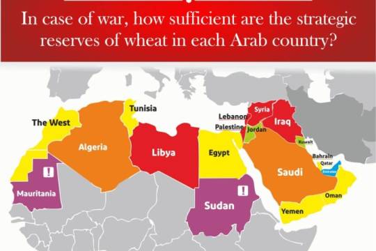 HOW SUFFICIENT ARE THE STRATEGIC RESERVES OF WHEAT IN EACH ARAB COUNTRY?