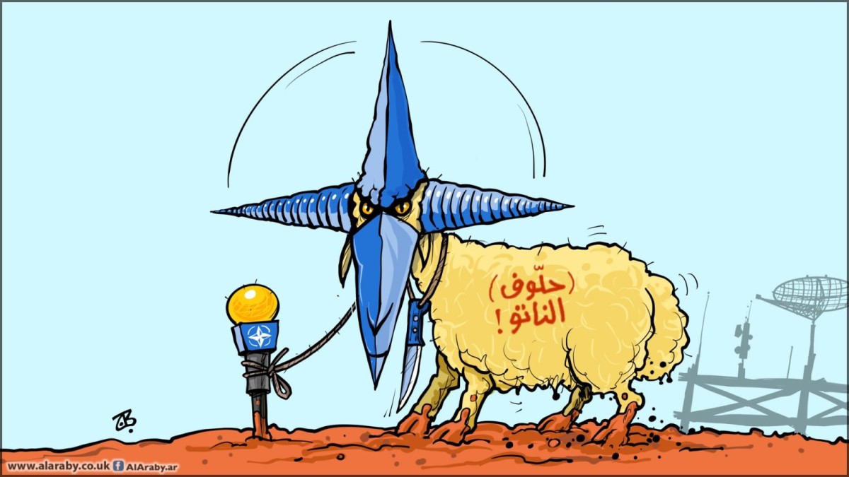كاريكاتير / (حلّوف) الناتو !