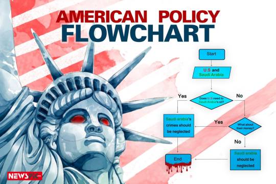 American policy flowchart