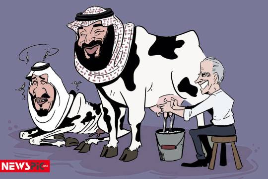 Saudi Arabia : milk cow