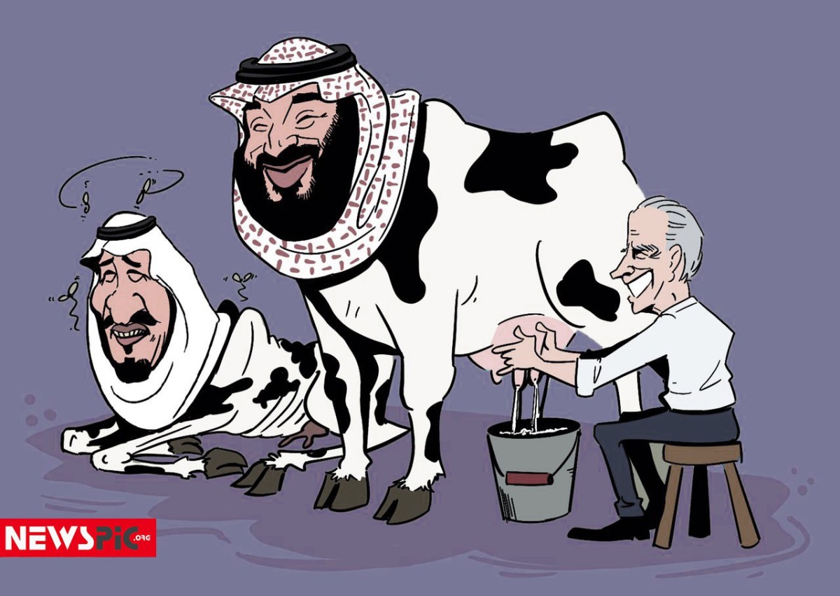 عربستان سعودی گاو شیرده