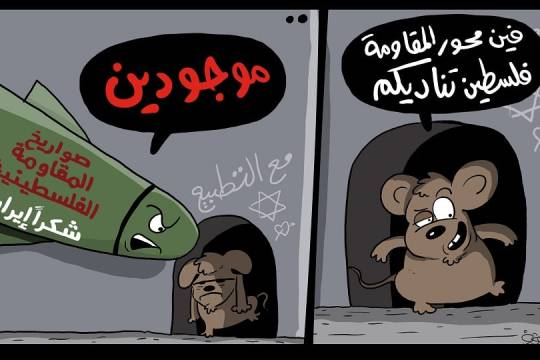 كاريكاتير / صواريخ المقاومة الفلسطينية
