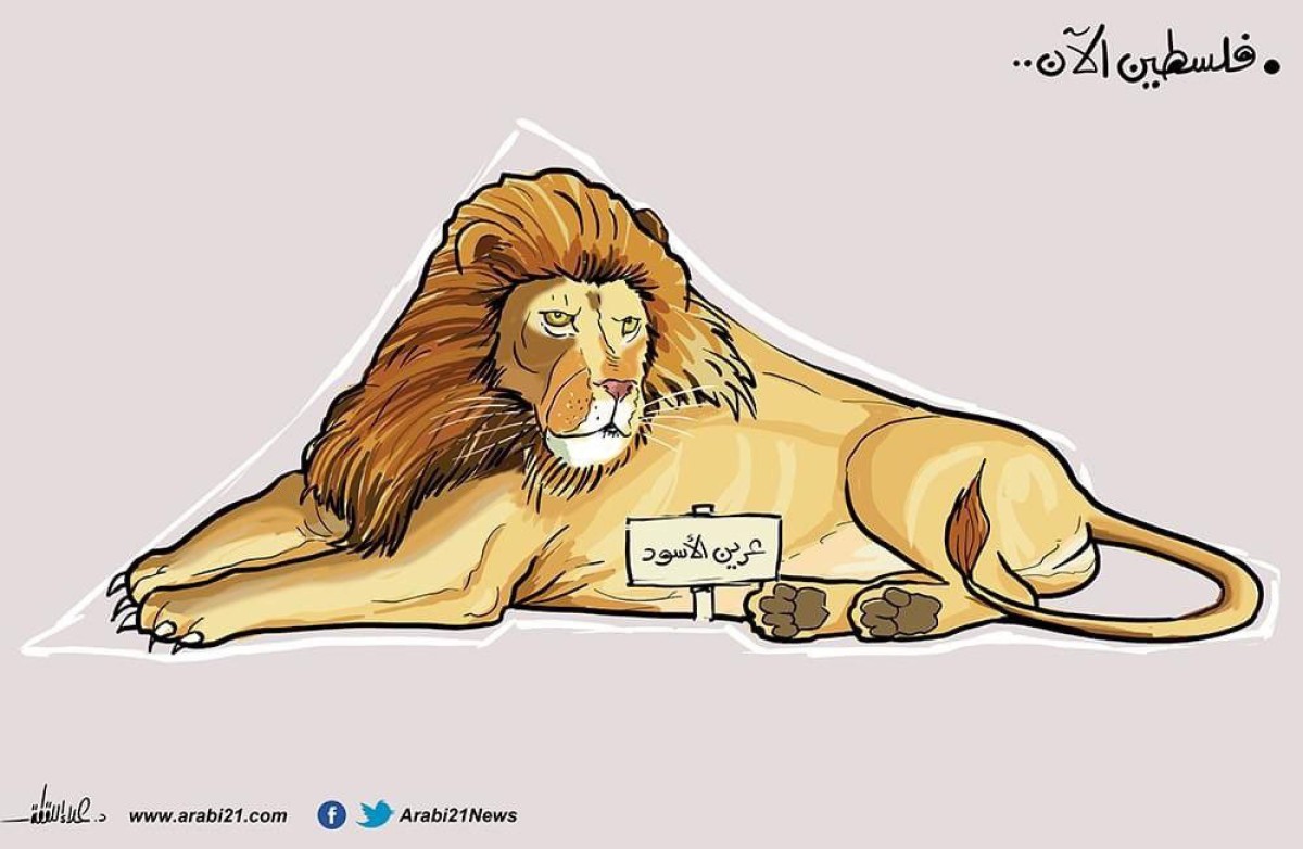 كاريكاتير / فلسطين الأن ..