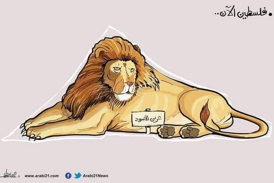 كاريكاتير / فلسطين الأن ..