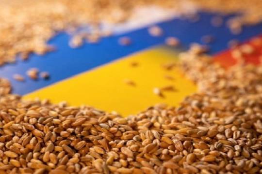 Turkish sources, exported 13 million tons of grain through the Black Sea