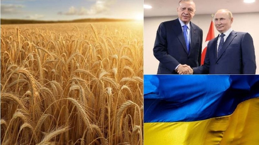 Grain Deal, discussions are back in Istanbul