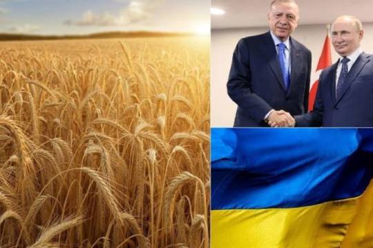 Grain Deal, discussions are back in Istanbul