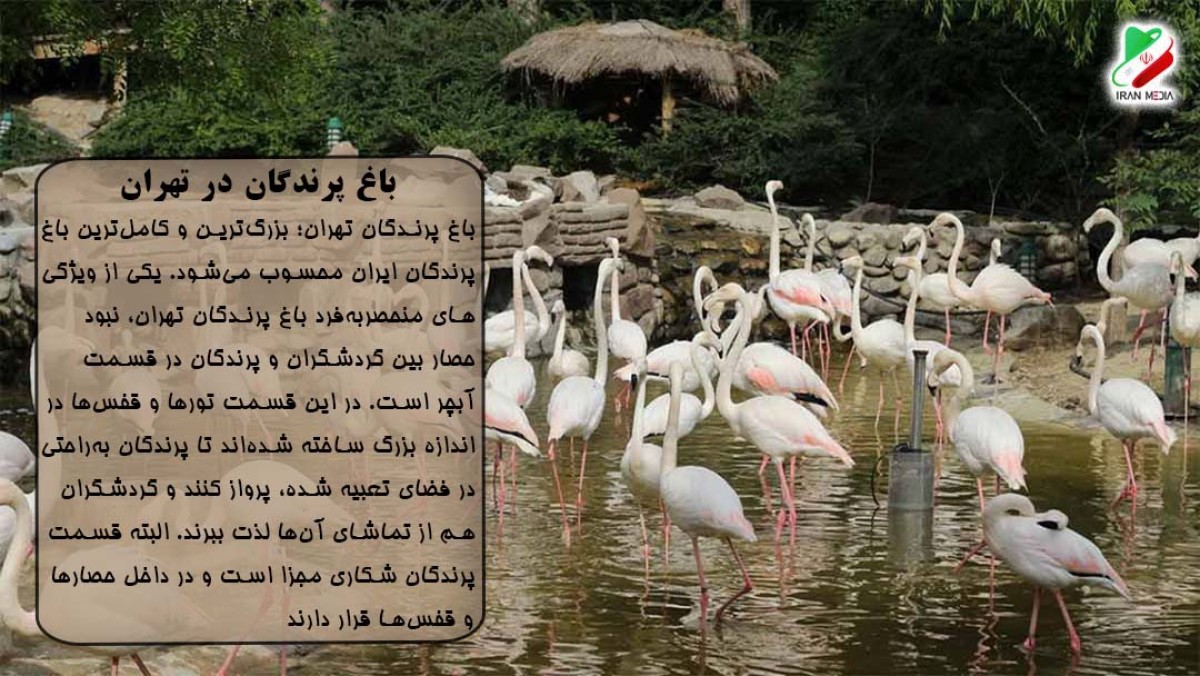 باغ پرندگان در تهران