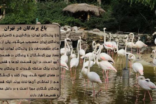 باغ پرندگان در تهران
