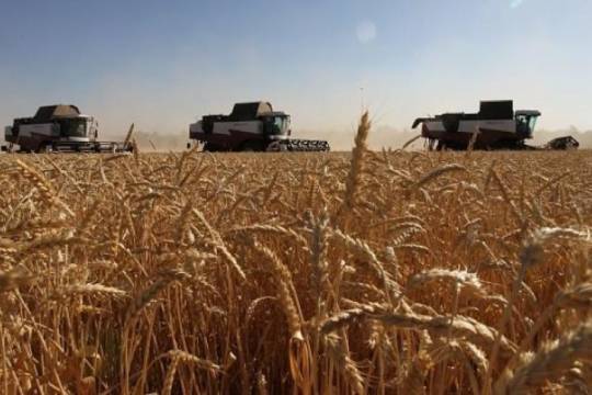 پیوند صنعت نظامی و کشاورزی در اسرائیل؛ عدم امنیت غذایی