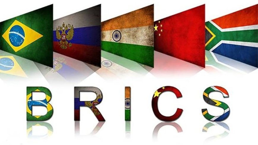 BRICS summit in South Africa, diplomatic immunity for foreign guests