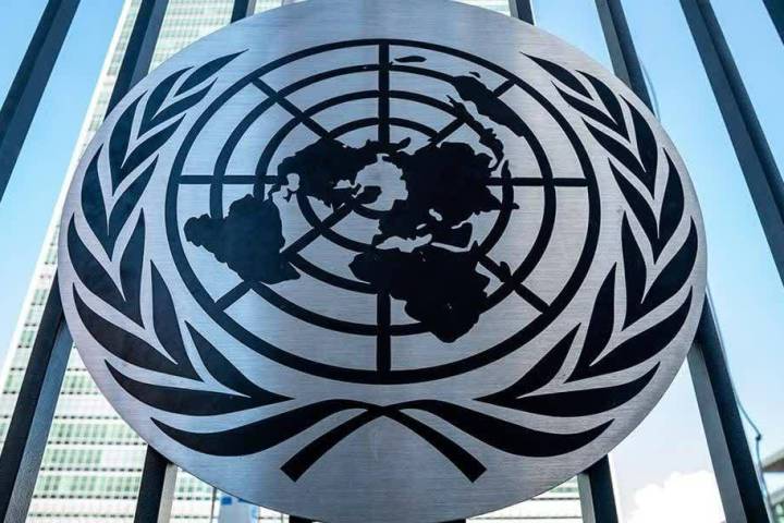 The United Nations' Inefficiency Exposed: Searching for Alternatives