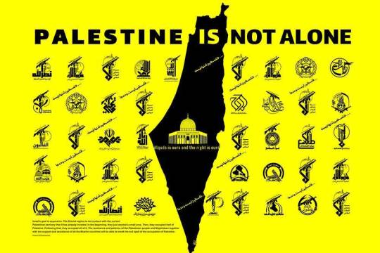 Palestine is not alone