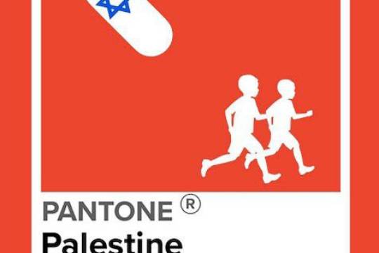 PANTONE Palestine lives matter