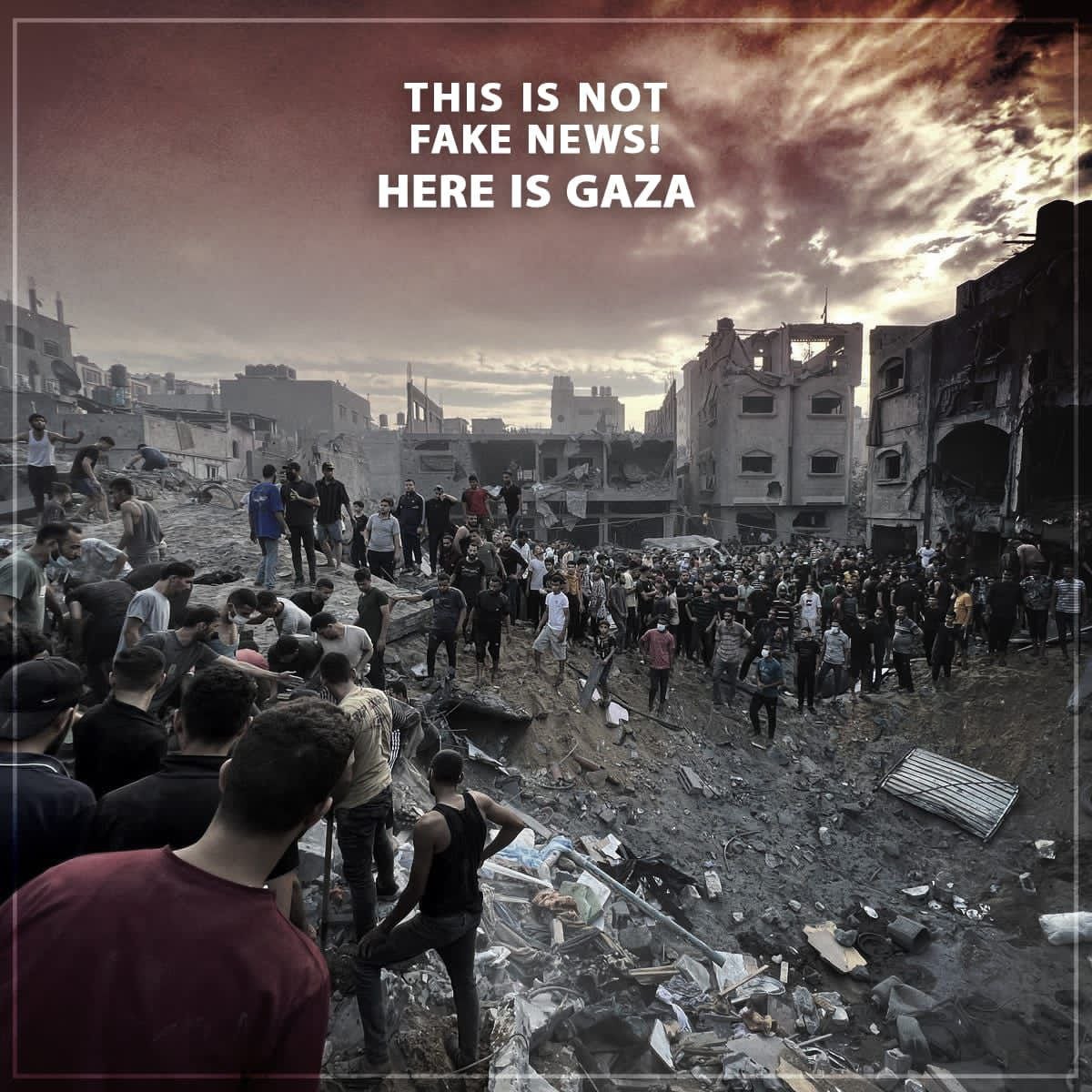 THIS IS NOT FAKE NEWS! HERE IS GAZA