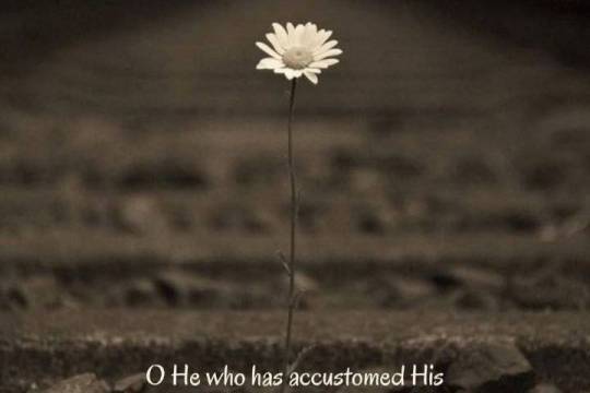 O He who has accustomed His servants to the acceptance of their repeatedly turning back to Him.
