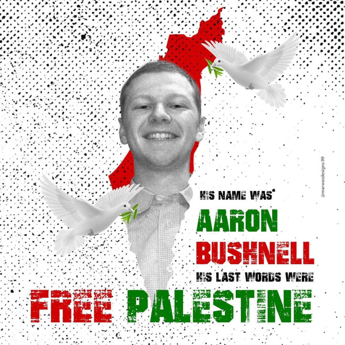 HIS NAME WAS AARON BUSHNELL HIS LAST WORDS WERE FREE PALESTINE