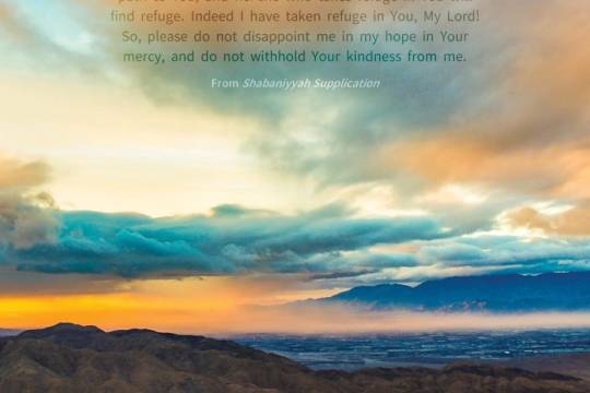 I have taken refuge in You