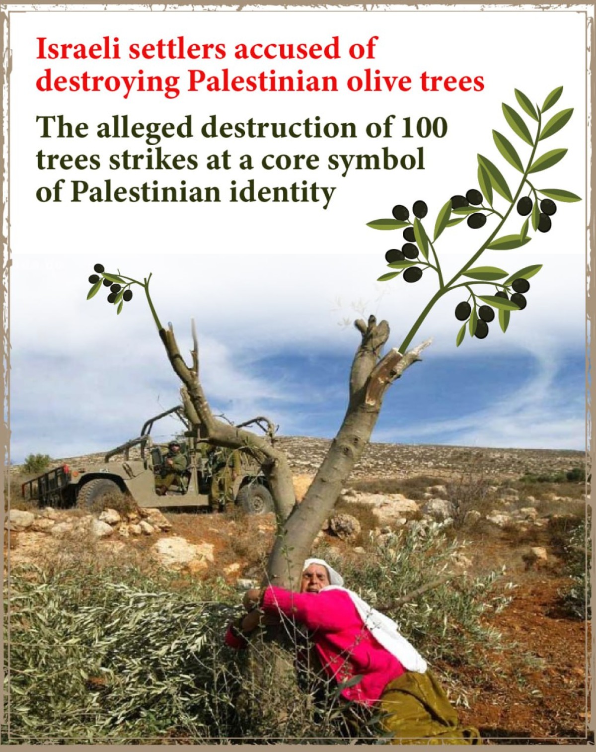 Israeli settlers accused of destroying Palestinian olive trees