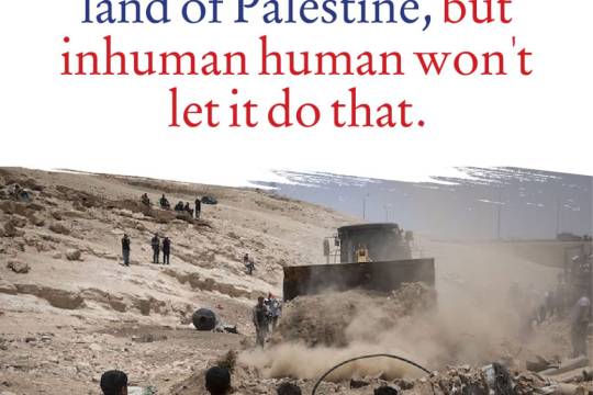 Just a little piece of peace can cultivate the land of Palestine, but inhuman human won't let it do that.